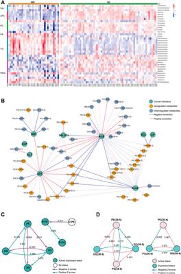 HR-MS Based Untargeted Lipidomics Reveals Characteristic Lipid Signatures of Wilson’s Disease